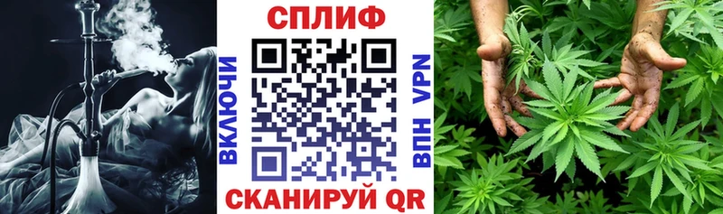 Купить закладку Галлюциногенные грибы  COCAIN  Гашиш  APVP  Меф мяу мяу  Конопля  Орск