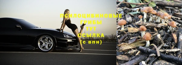 стафф Лагань