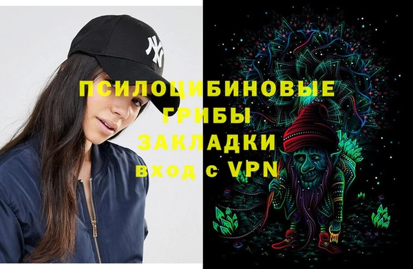 ешки Ладушкин