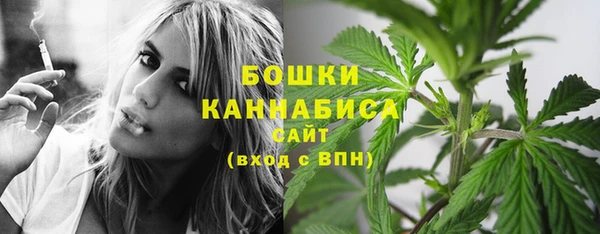 ешки Ладушкин