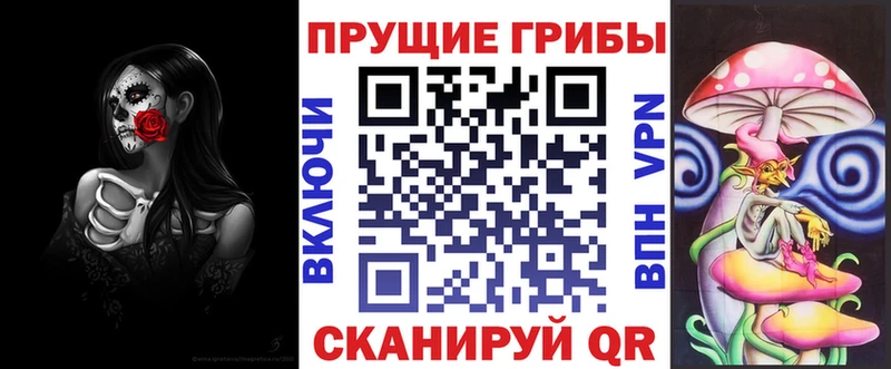 Купить где Орск Галлюциногенные грибы Psilocybine cubensis